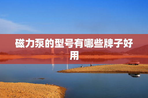 磁力泵的型号有哪些牌子好用