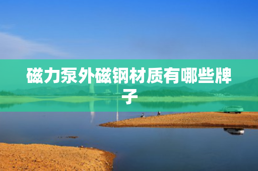 磁力泵外磁钢材质有哪些牌子