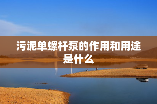 污泥单螺杆泵的作用和用途是什么