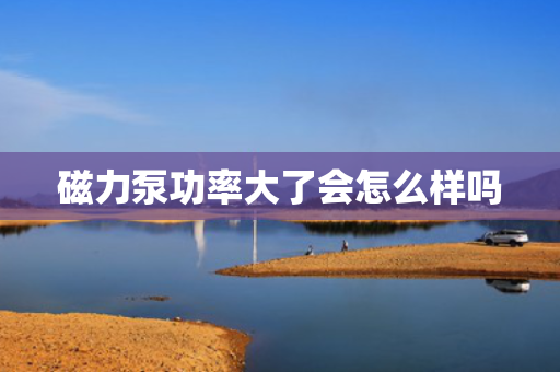 磁力泵功率大了会怎么样吗 磁力泵功率大了会怎么样吗