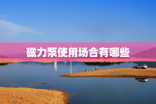 磁力泵使用场合有哪些 磁力泵使用场合有哪些