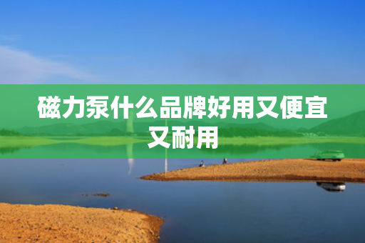 磁力泵什么品牌好用又便宜又耐用