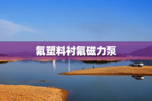 氟塑料衬氟磁力泵 氟塑料衬氟磁力泵