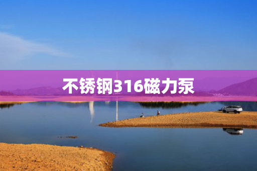 不锈钢316磁力泵