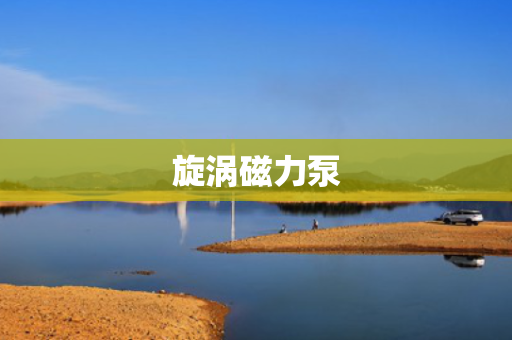 旋涡磁力泵 旋涡磁力泵