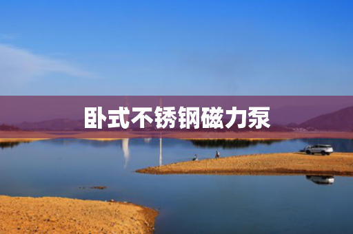 卧式不锈钢磁力泵 卧式不锈钢磁力泵