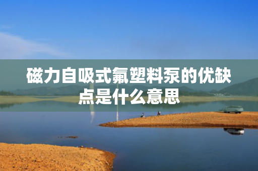 磁力自吸式氟塑料泵的优缺点是什么意思 磁力自吸式氟塑料泵的优缺点是什么意思