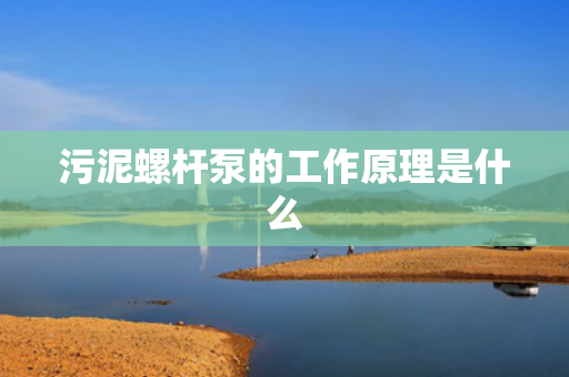 污泥螺杆泵的工作原理是什么 污泥螺杆泵的工作原理是什么