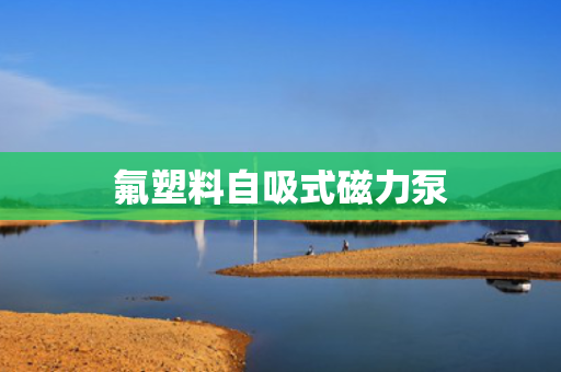 氟塑料自吸式磁力泵