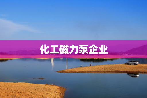 化工磁力泵企业 化工磁力泵企业