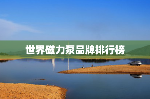 世界磁力泵品牌排行榜 世界磁力泵品牌排行榜