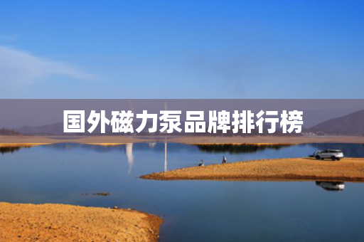 国外磁力泵品牌排行榜 国外磁力泵品牌排行榜